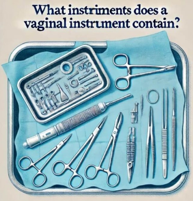 What Instruments Does a Vaginal Instrument Tray Contain